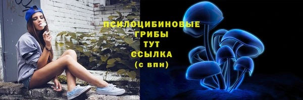 мет Лагань
