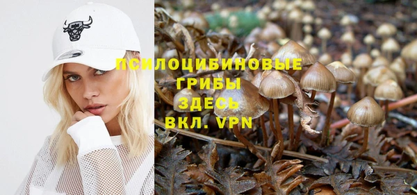 амф Лабытнанги