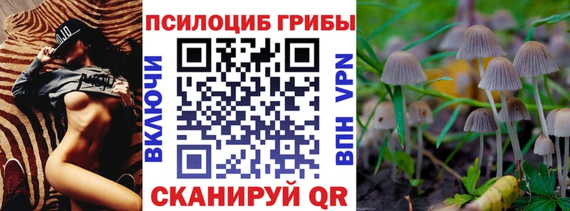 Купить где Сольцы Галлюциногенные грибы Psilocybe